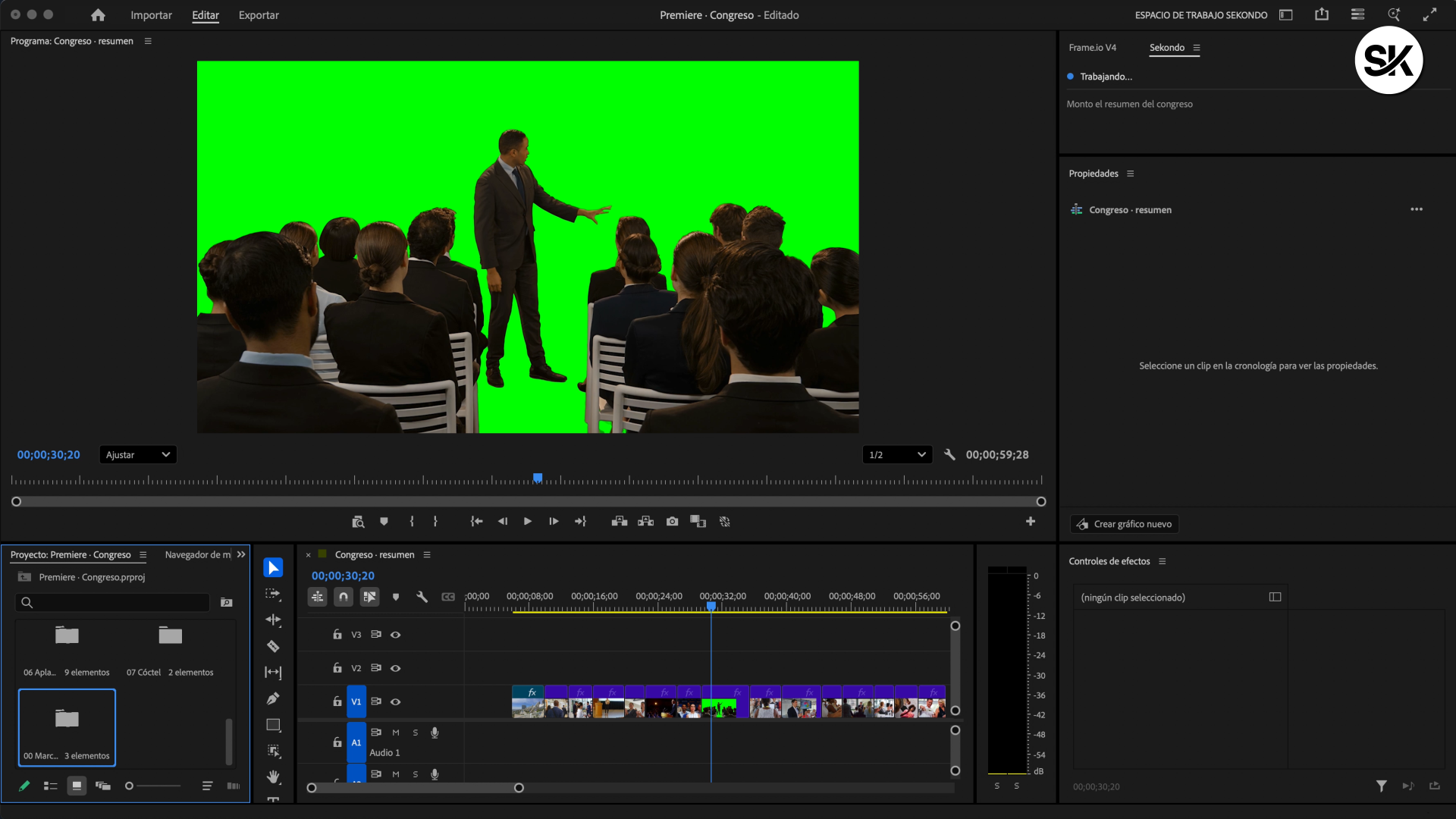 Premiere Pro
